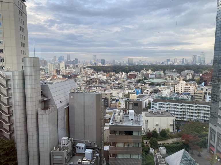 窓からの眺望(昼)2