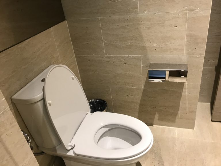 トイレ トイレにはウォシュレットは付いていませんでした。トイレの紙は柔らかいものではありませんが使用に問題はないレベルでした。