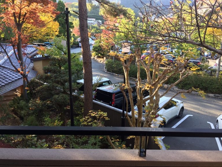 客室からの風景(駐車場側でした)