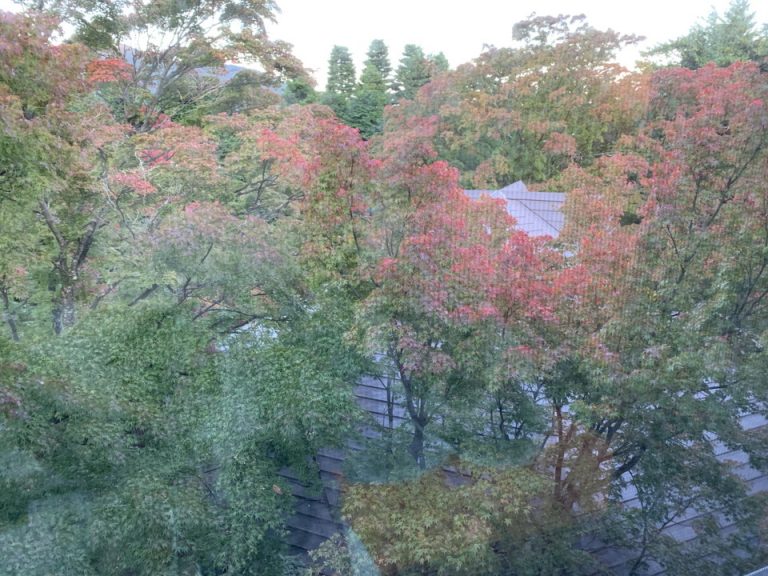部屋からの眺望