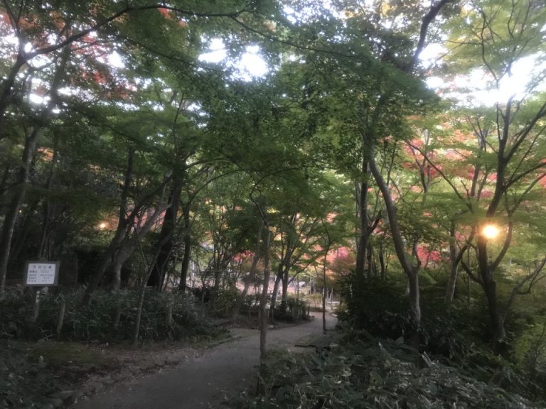 紅葉のきれいな瑞宝寺公園(1)