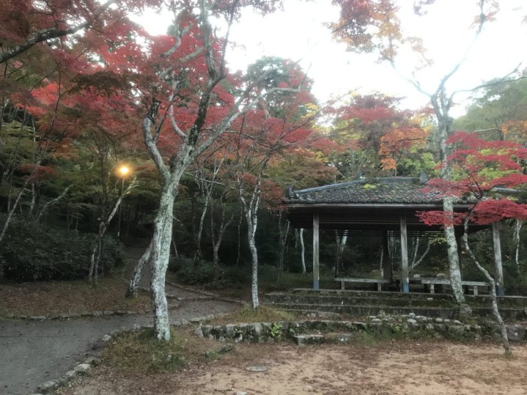 紅葉のきれいな瑞宝寺公園(宿からの送迎もあります)