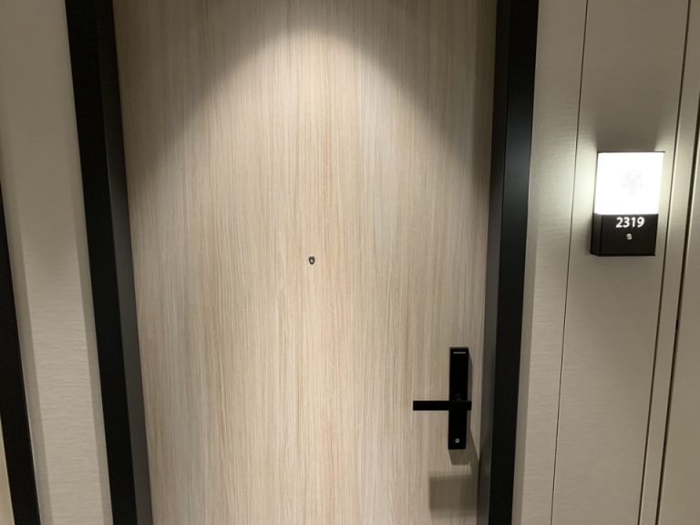 客室入口外観ドア