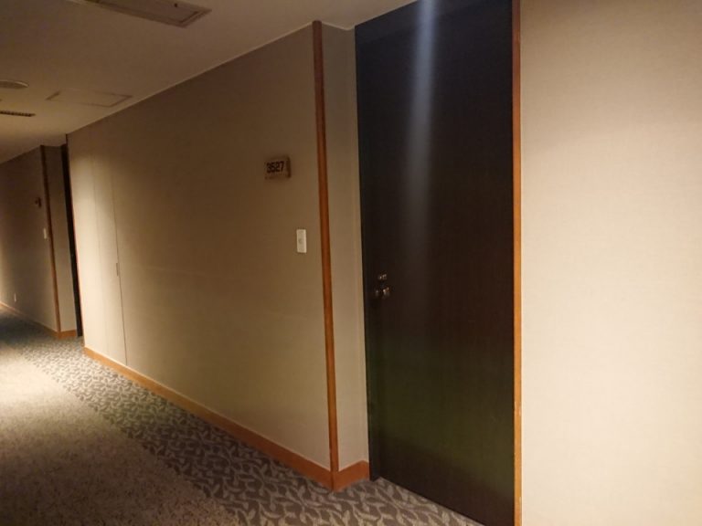客室入口外観ドア