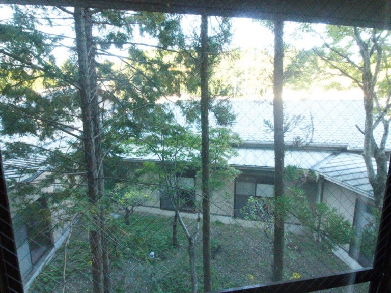 【部屋からの眺望】木々と他の部屋が見えます