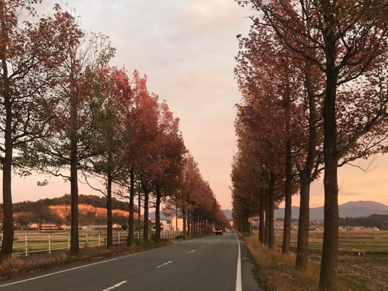 並木道 宿から車で約10分の所