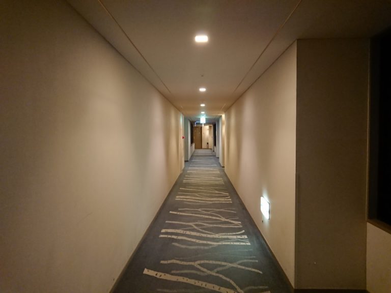 客室入り口付近廊下