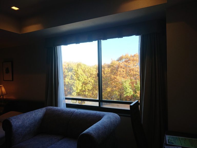 客室窓_浅間山とは反対方向ですが紅葉がきれいでした