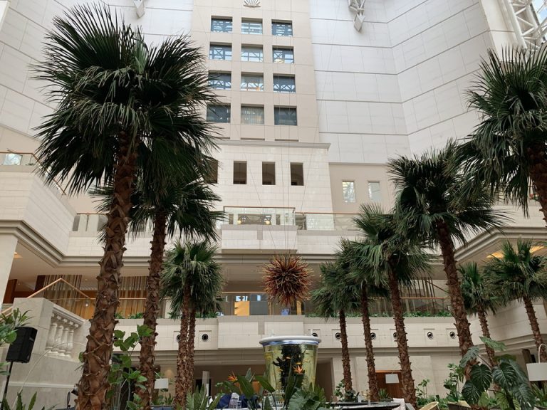 エントランス(8)