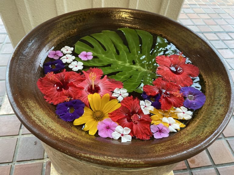 毎日変わる、ホテル名物 エントランス外にある(3)