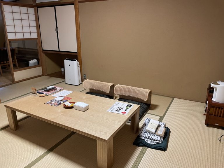 客室全体(洗面所から)(1)