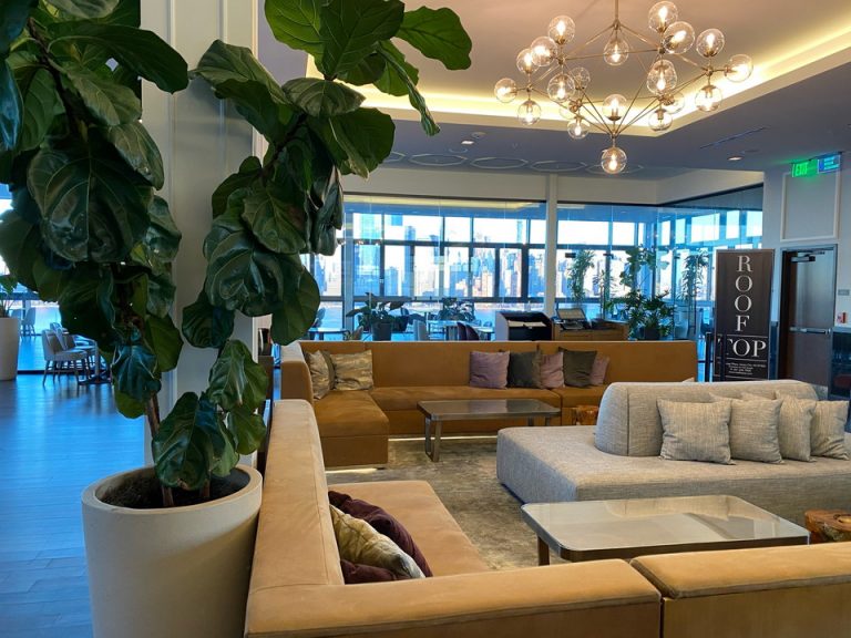 レストラン内観