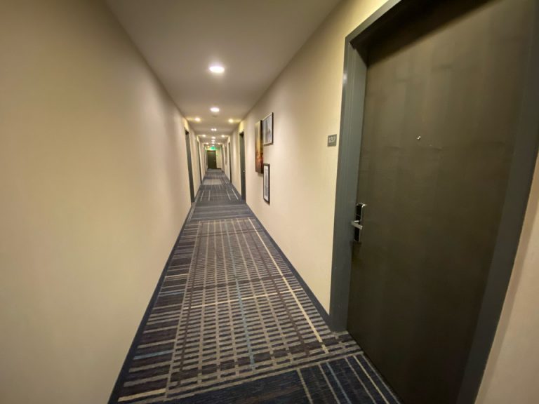 客室入口付近廊下