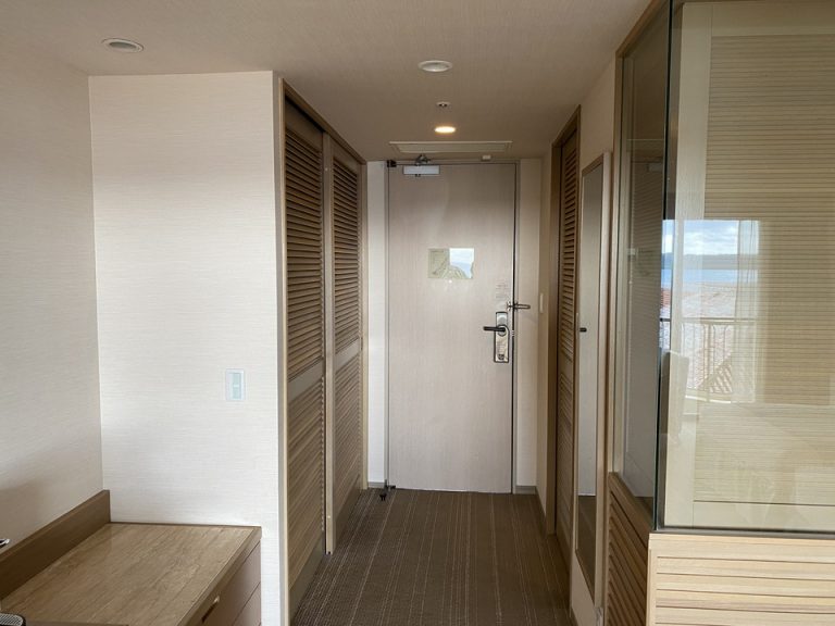 入り口ドア(洗面所ワイドビュー扉閉めた状態)