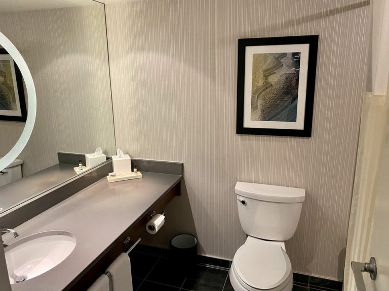 バスルーム入口から全景