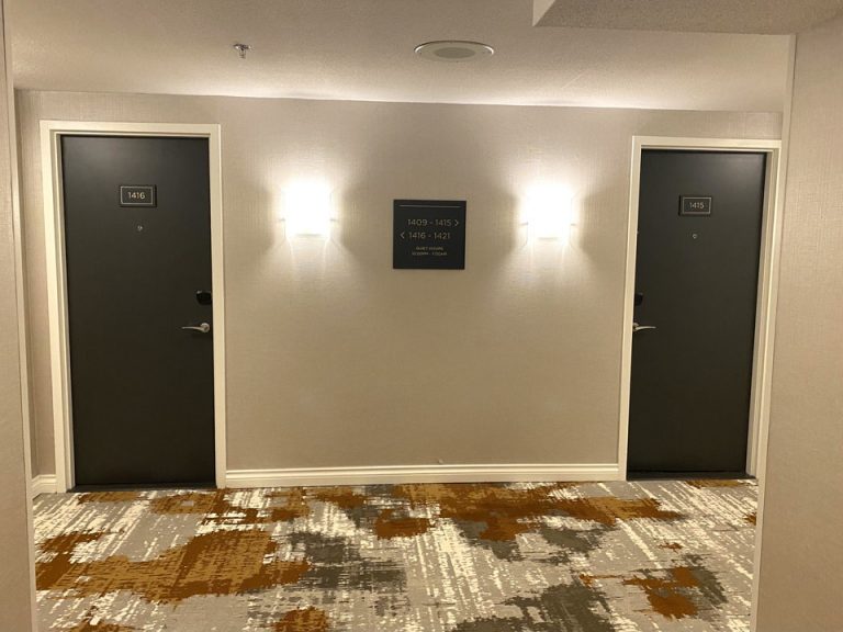 客室入口付近廊下