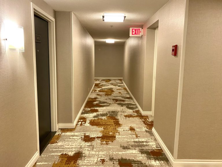 客室入口付近廊下(1)