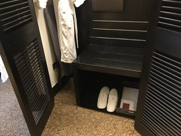 クローゼット外観(開けた状態)(2)