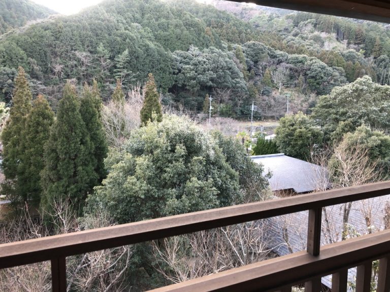 テラスからの風景です。山の中にある旅館です。