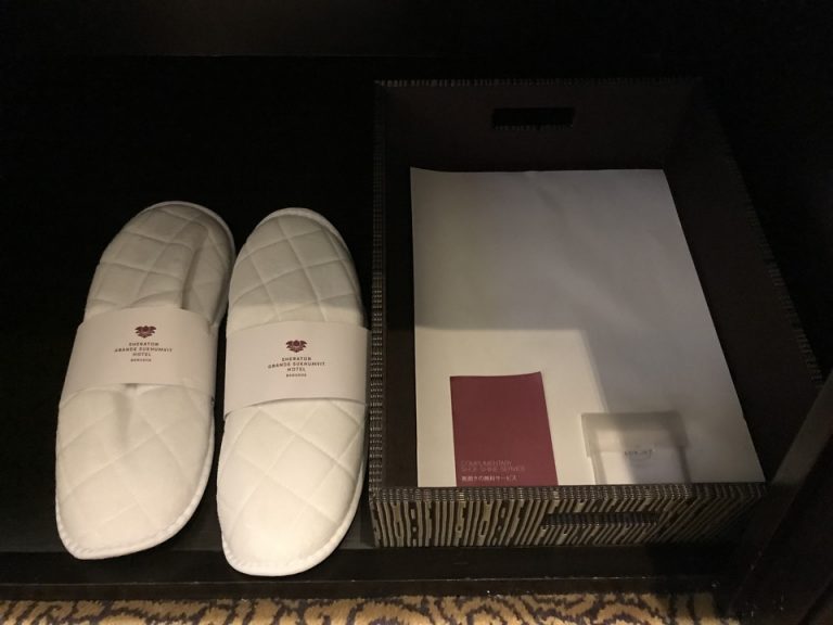 クローゼット外観(開けた状態)(1)