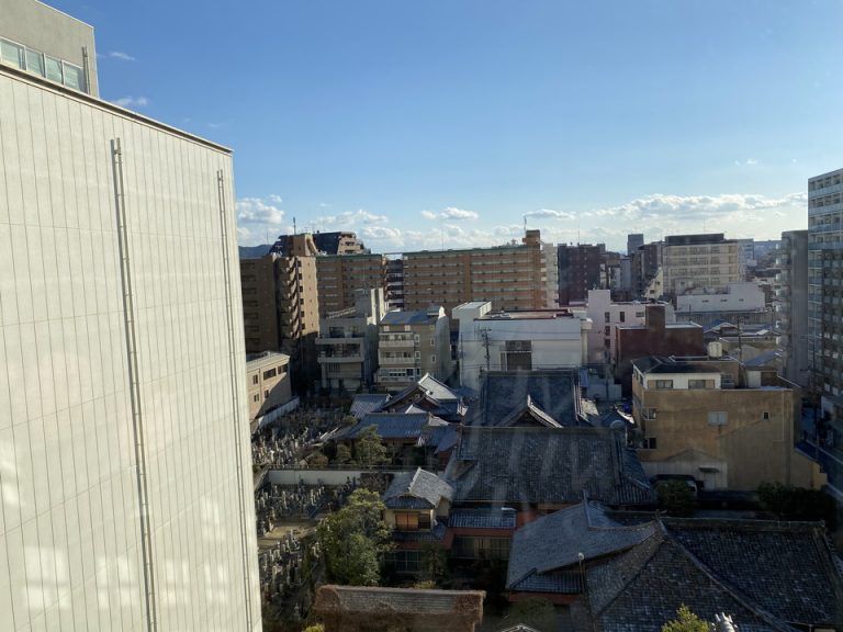 客室からの景色