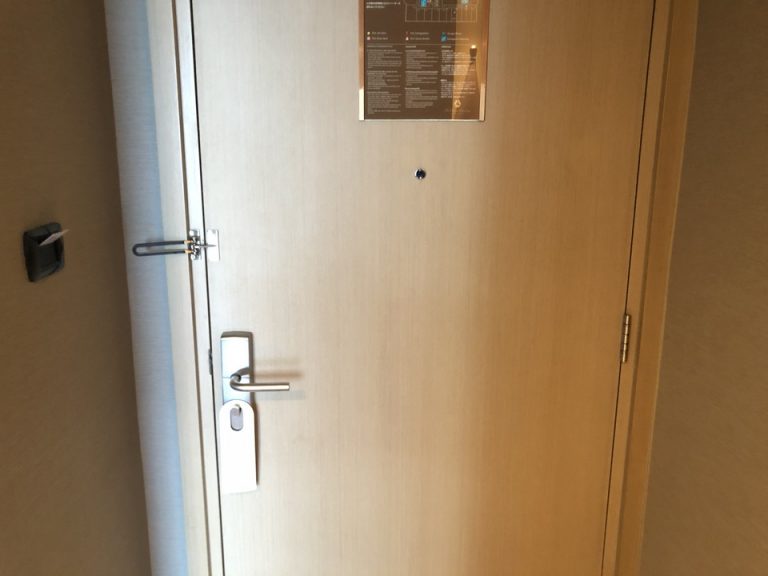 客室入り口内観ドア