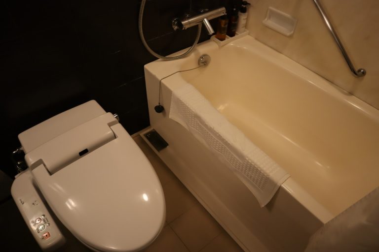 バスルーム(入口から全体)