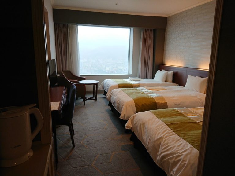 客室全体(窓際方向)