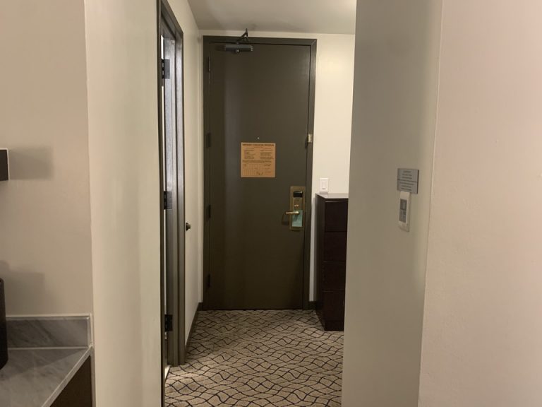 客室入口内観ドア3