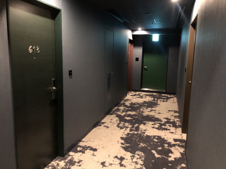 客室入口付近廊下