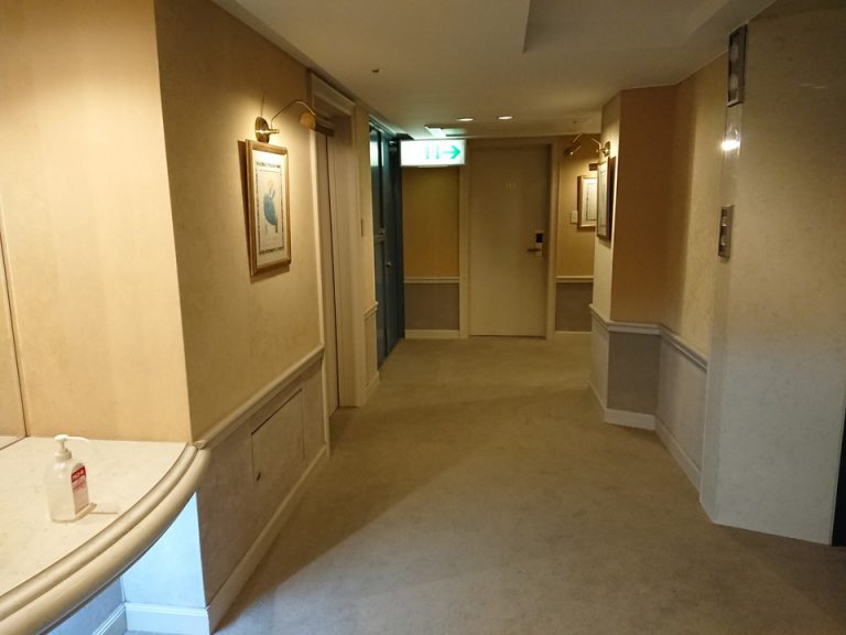 客室入口付近廊下