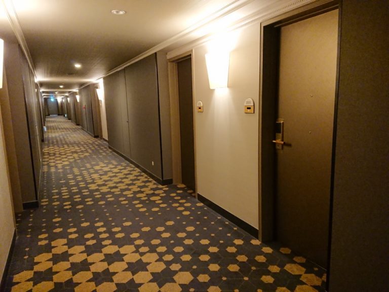 客室入口付近廊下