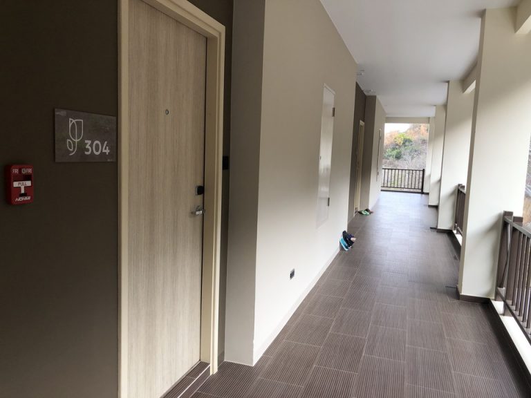 客室入口付近廊下