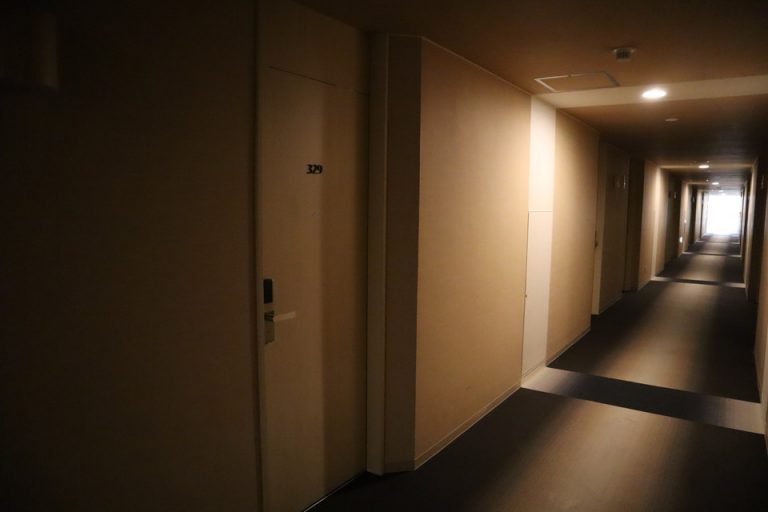 客室入口付近廊下(1)