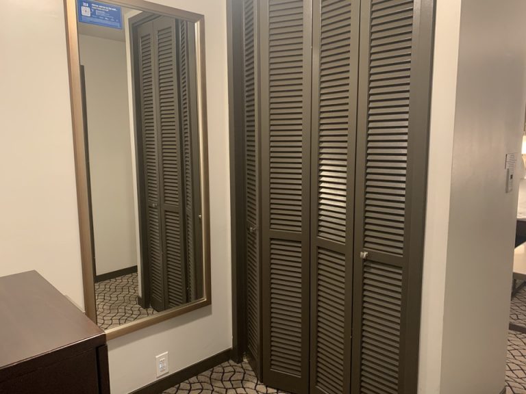 クローゼット外観(閉じた状態)1