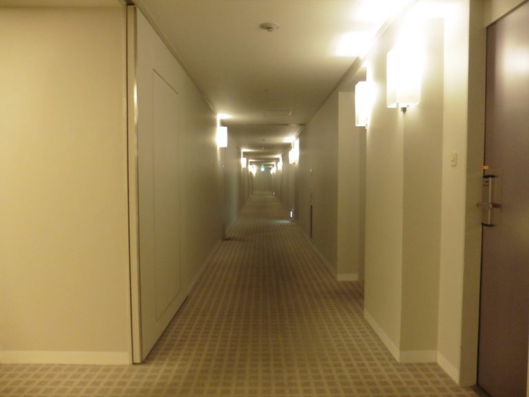 廊下は明るくきれいです