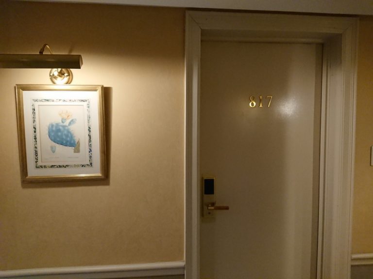 客室入口外観ドア