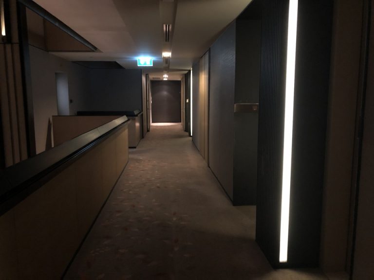 客室入り口付近廊下