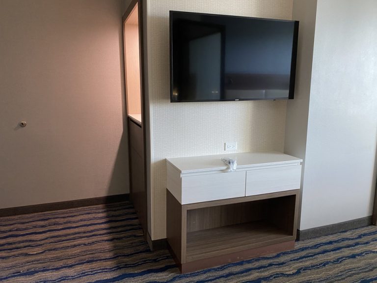 TVは下に収納スペースもありました