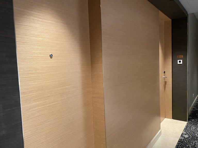 客室入り口付近です。廊下も広く、ドアも大きいです。