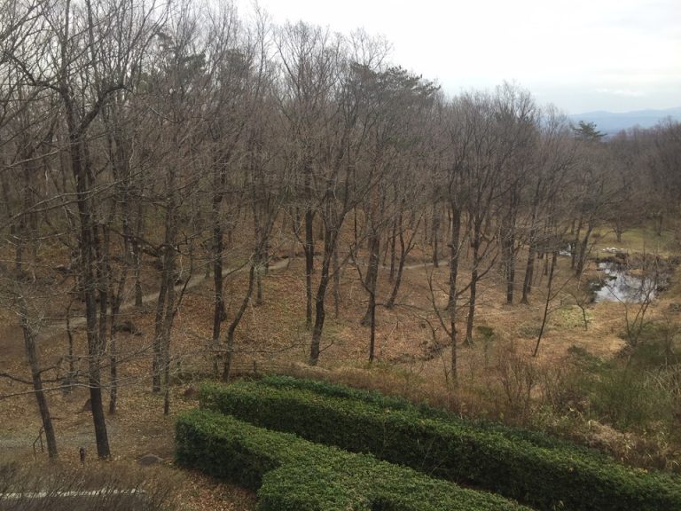 ホテルの敷地内にはお散歩コースがありました