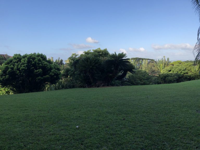 部屋からの願望