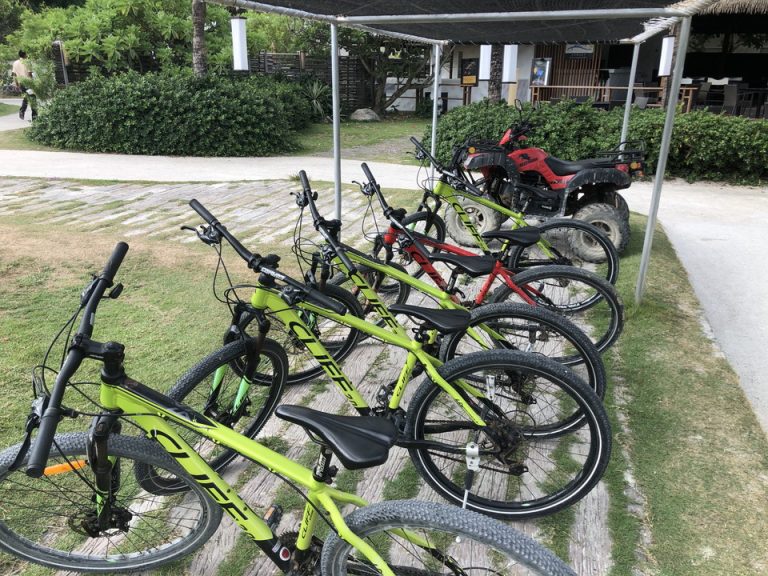 レンタル自転車