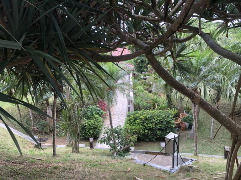 部屋からの願望②