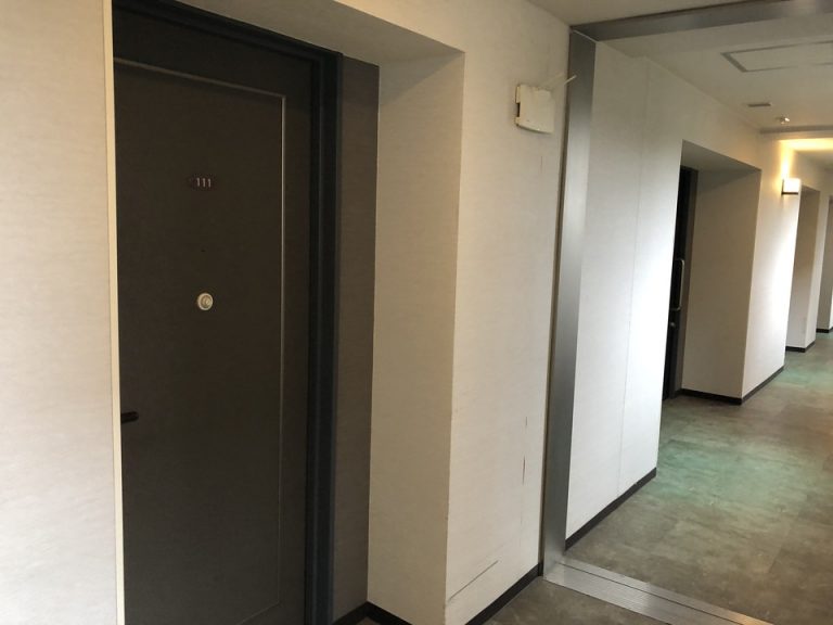 客室入口付近廊下