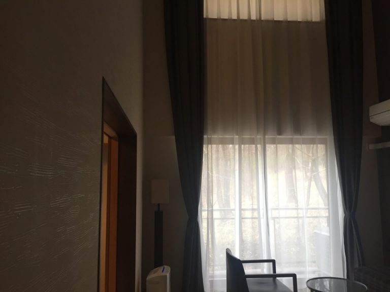 天井まである窓が素敵でした