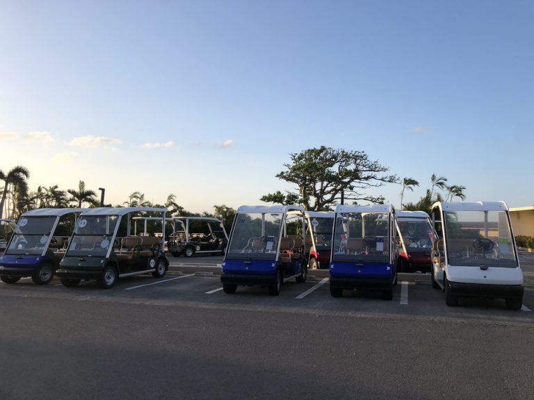 レンタルカート