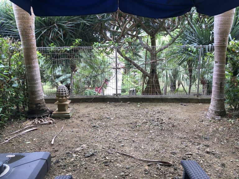 部屋からの願望①