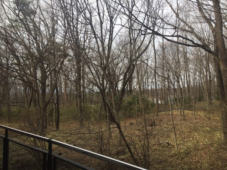 部屋からの眺望