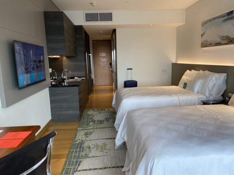 客室全体の入り口方向を見たところです。白と黒を基調にしたモダンスタイルです。